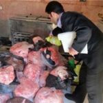 توقیف و معدوم سازی ۷۰۰ کیلوگرم مرغ فاسد در ملارد