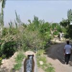 رقص شکوفه‌ها در «نوغاب»؛ روایت تسنیم از بیداری طبیعت پس از خشکسالی