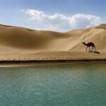 سفر به روستایی که جهان را شگفت‌زده می‌کند/تلاقی دریا و کویر در درک!