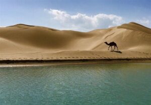 سفر به روستایی که جهان را شگفت‌زده می‌کند/تلاقی دریا و کویر در درک!