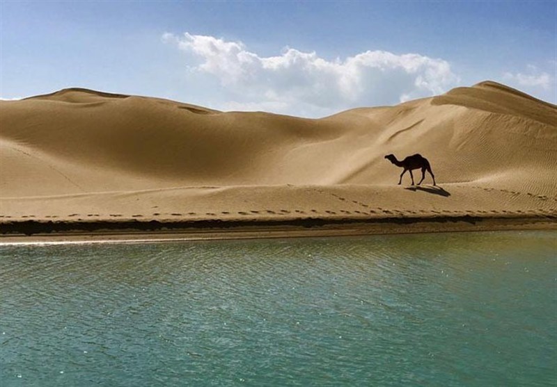 سفر به روستایی که جهان را شگفت‌زده می‌کند/تلاقی دریا و کویر در درک!
