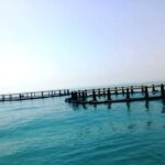 طلسم ۲۰ ساله شکست؛ خزر دوباره خاویار تولید می‌کند