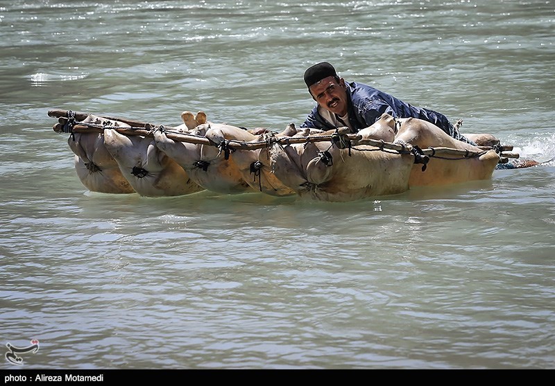 عشایر و طبیعت در چهارمحال و بختیاری؛ زندگی در هماهنگی با فصلها +تصویر اخبار استان چهارمحال و بختیاری , اخبار کوهرنگ , اخبار اردل , اخبار شهرکرد ,