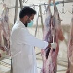 فتاحی: ۳۶ گروه نظارتی روز عید قربان ناظر ذبح دام در مرکزی هستند