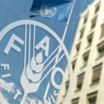 نماینده ایران در فائو: تنگه هرمز پیش از تجاوز علیه ایران باز بود