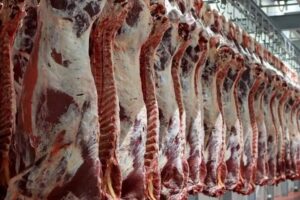 پیش بینی مشارکت ۸۵٠ میلیارد ریالی خیرین خراسان رضوی برای عید قربان
