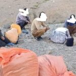 کشف و دستگیری سودجویان گیاهان دارویی در شیرکوه تفت