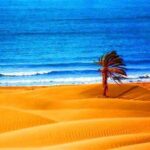 گردشگری روستایی| قصه عاشقانه کویر و دریا در بلوچستان/ دَرَک کجاست؟