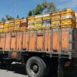 ۳ کامیون حامل ۳۱۰۰ قطعه مرغ زنده غیرمجاز در محور هراز توقیف شد