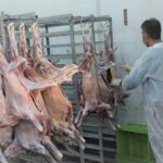 ۸۹ گروه دامپزشکی در اصفهان بر ذبح دام‌ قربانی نظارت می‌کنند