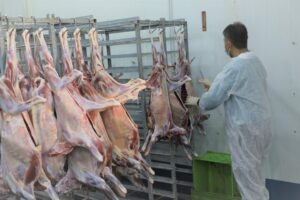 ۸۹ گروه دامپزشکی در اصفهان بر ذبح دام‌ قربانی نظارت می‌کنند