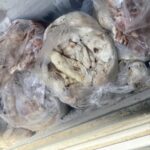بیش از ۳۳۰ کیلوگرم گوشت غیربهداشتی و فاقد هویت در اراک کشف شد