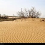 تشدید بیابان‌زایی در کرمان؛ برداشت بی‌رویه آب و تخریب پوشش گیاهی
