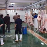 ذبح دام نذری در کشتارگاه‌های مجاز انجام شود