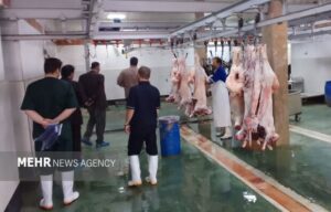 ذبح دام نذری در کشتارگاه‌های مجاز انجام شود