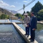 فعالیت ۱۳۲واحد آبزی‌پروری در شاهرود؛ تولید ۷۳۸تن ماهی و جلبک اسپرولینا
