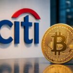 آخرین وضعیت بازار رمزارزها در جهان / عوامل فشار بر بازار رمزارزها افزایش یافت