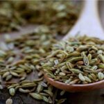آیا «رازیانه» باعث افزایش شیرمادر می شود