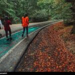 ظرفیت‌های طلایی گردشگری گلستان گرفتار تصمیم‌های جزیره‌ای