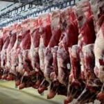واردات گوشت از برزیل کنترل و پایش می‌شود