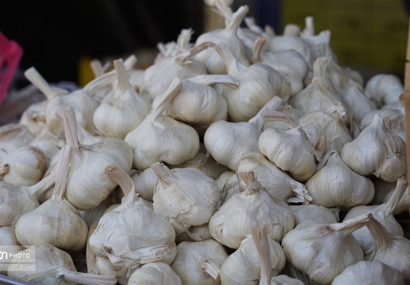از رازیانه رزن تا سیر همدان؛ جهاد دانشگاهی به دنبال پایان خامفروشی اخبار استان همدان , اخبار همدان , جهاد دانشگاهی ,