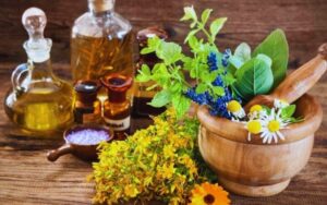 برگزاری جشنواره گیاهان دارویی «حکیم هزاره» در آرامگاه بوعلی‌سینا