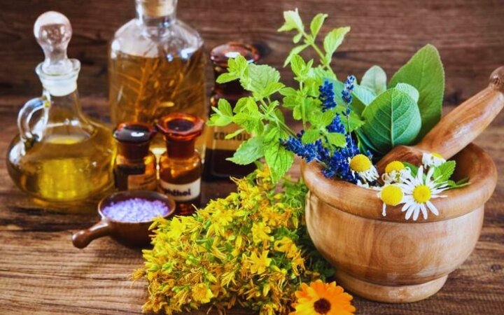 برگزاری جشنواره گیاهان دارویی «حکیم هزاره» در آرامگاه بوعلی‌سینا