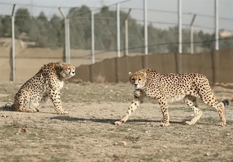 نظام مسائل استان سمنان , اخبار سمنان , 