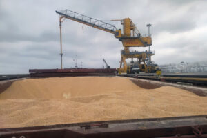رشد ۳۲ درصدی مجوز واردات نهاده‌های دامی در مازندران