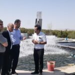 سرانه مصرف آبزیان در آذربایجان شرقی به ۸.۹ کیلوگرم رسید