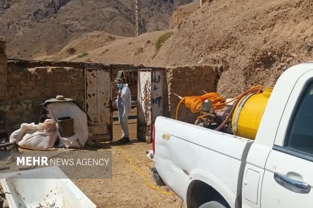 شریعتی: خدمات جهادی دامپزشکی در مناطق کم‌برخوردار ادامه دارد