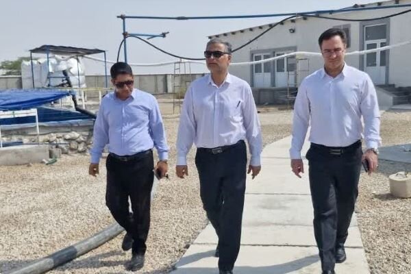فرماندار تنگستان: حمایت از طرح‌های دانش‌بنیان از اولویت‌های است