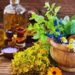 گنجینه سبز سیستان و بلوچستان؛ فرصت‌های طلایی در گیاهان دارویی