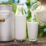 افزایش تولید شیر در آذربایجان شرقی