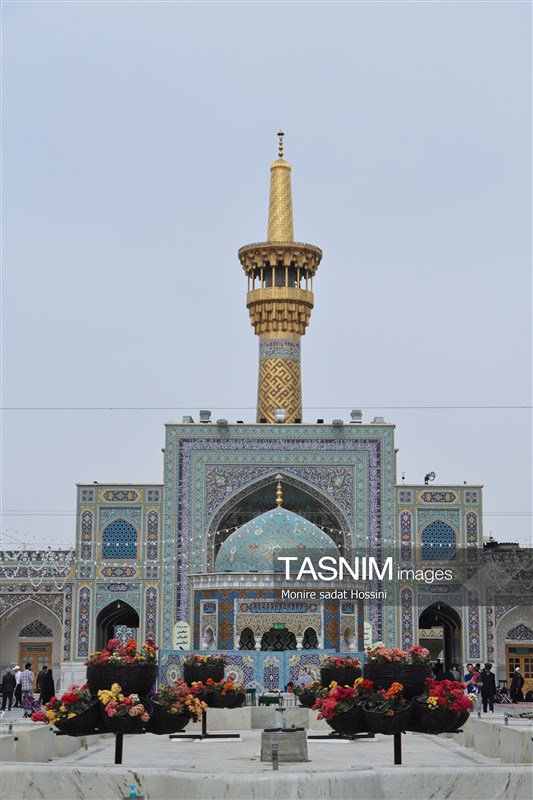 چهارشنبه امامرضایی؛ روایت دلدادگی در آستان سلطان خراسان امام رضا (ع) , حرم امام رضا(ع) , خراسان رضوی , اخبار استان خراسان رضوی , مشهد مقدس , اخبار مشهد , زائر رضوی , زائران , آستان قدس رضوی , خادمیاران رضوی ,
