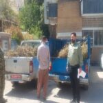 کشف محموله قاچاق گیاهان دارویی در خرم‌آباد