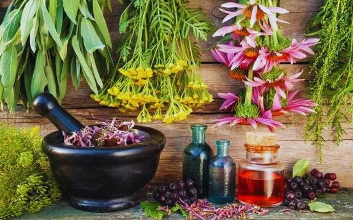 گیاهان دارویی؛ فرصتی برای رونق اقتصاد روستاهای گیلان گیاهان دارویی؛ فرصتی برای رونق اقتصاد روستاهای گیلان