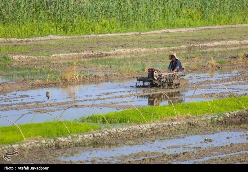 اخبار استان مازندران , اخبار ساری , نظام مسائل استان , نظام مسائل استان مازندران , 
