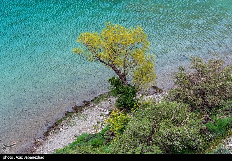 دریاچه گهر جهانی شد/ نگین آبی زاگرس در فهرست رامسر قرار گرفت سازمان محیط زیست , استان لرستان , اخبار استان لرستان ,