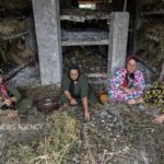 فعال‌سازی ۱۲ زنجیره ارزش روستایی برای توسعه اشتغال