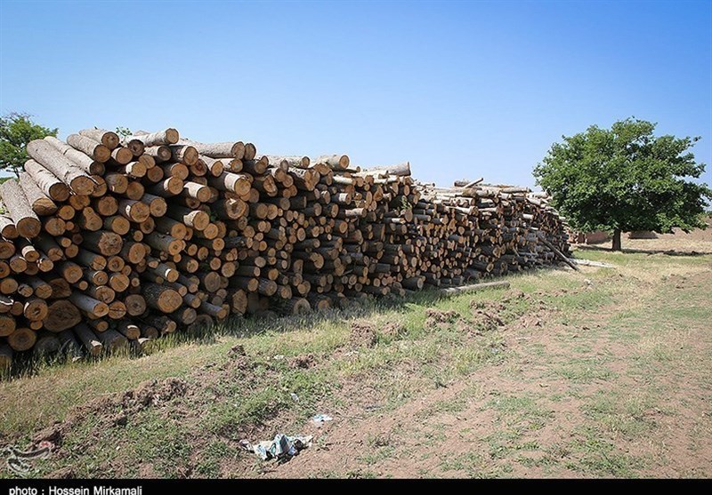 اخبار استان چهارمحال و بختیاری , اخبار شهرکرد , 